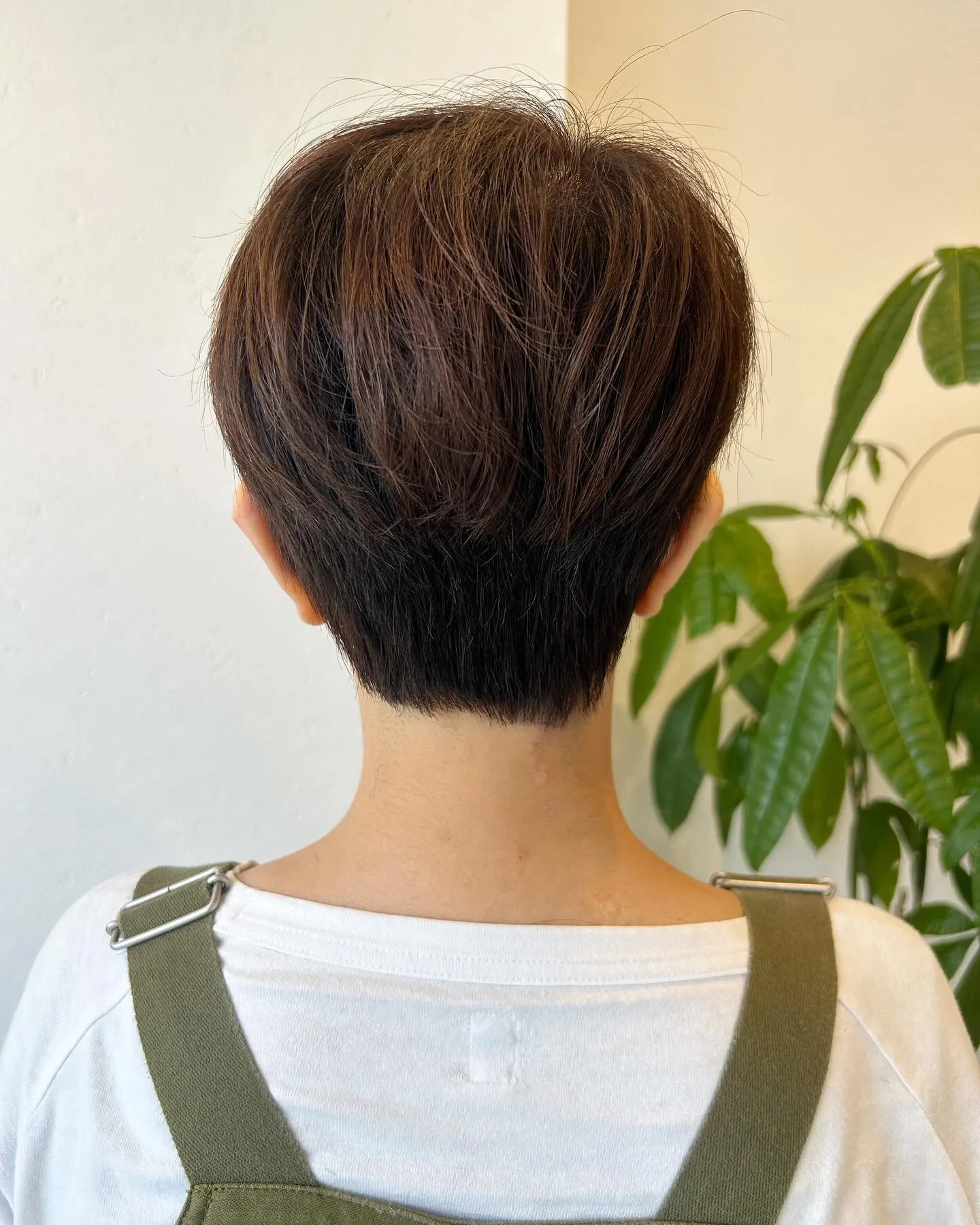 能見台　美容室　✂︎スッキリショート