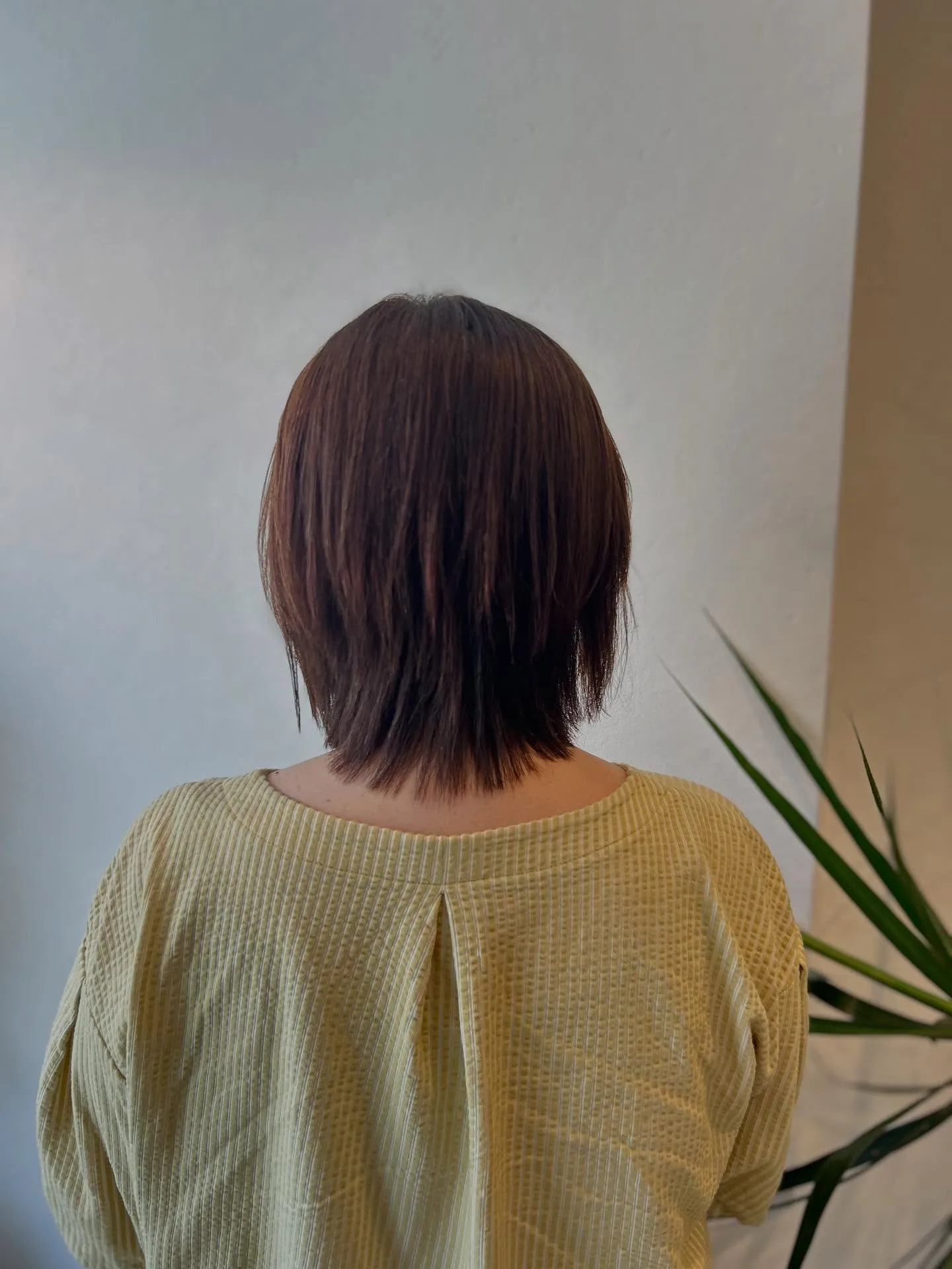 能見台　美容室✂︎ ウルフレイヤー